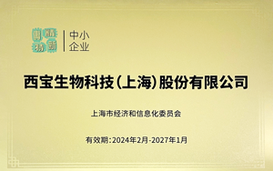 又續(xù)上啦！看我們?nèi)绾尉沓隹萍肌八{海”